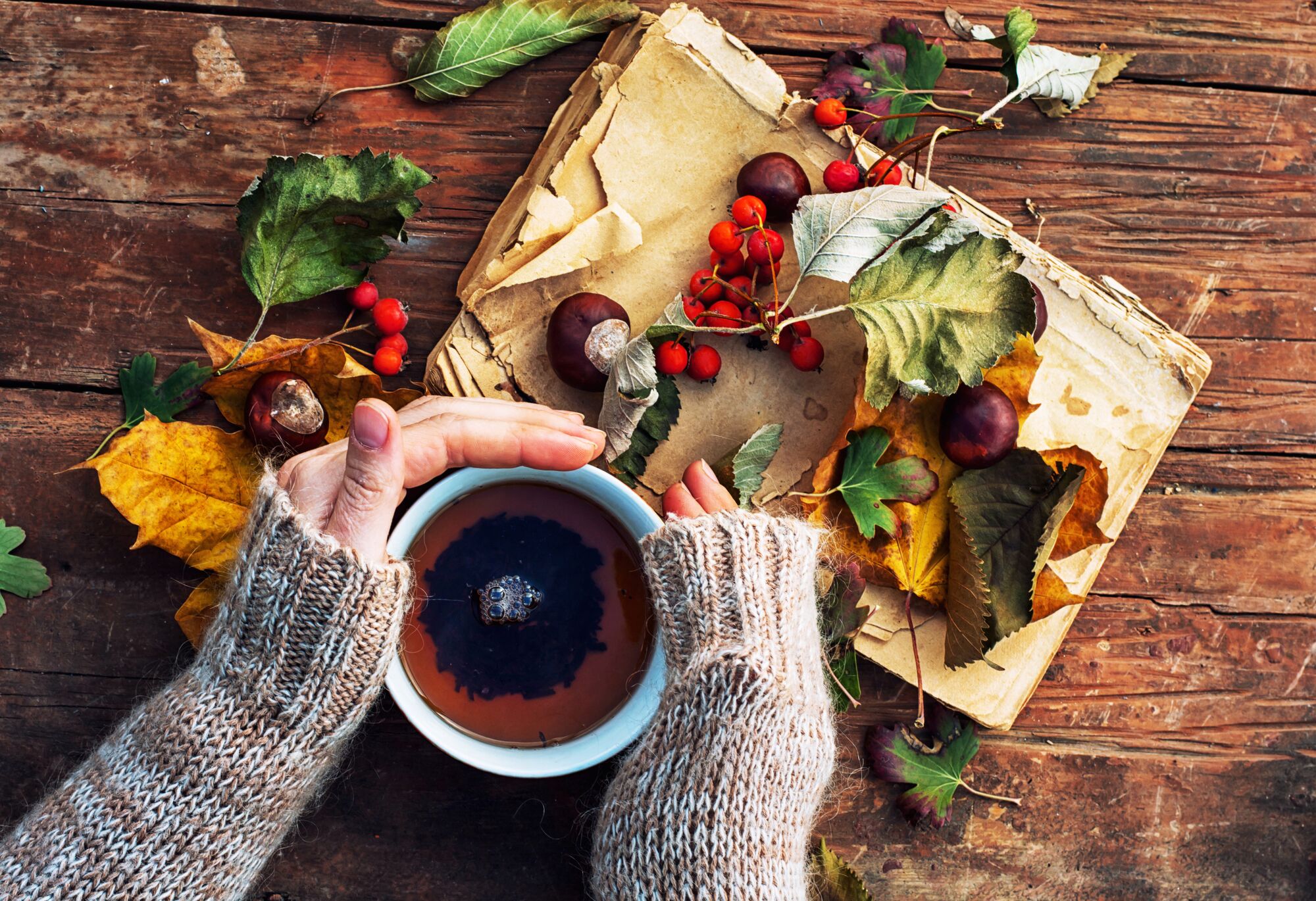 Осень дарит вдохновение. Уютная осень. Осень чай. Осеннее чаепитие. Осень кофе.