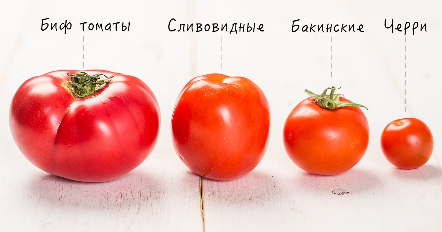 Чем томаты отличаются от помидоров?