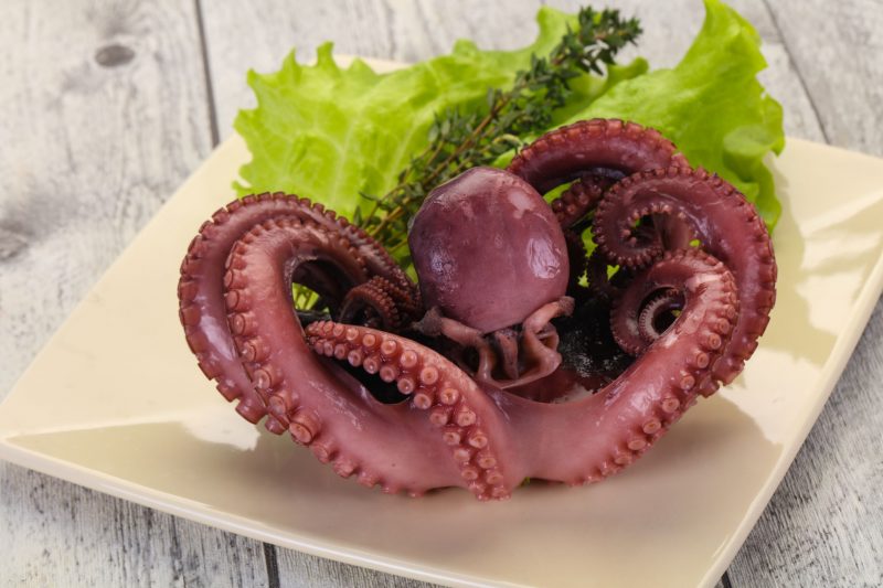 Как правильно приготовить осьминога: рецепты самые вкусные