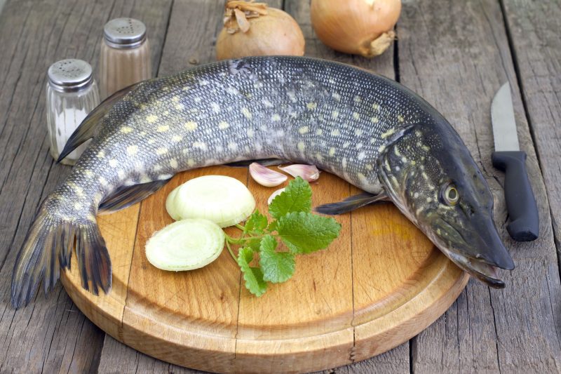 Самые вкусные рецепты приготовления щуки от Шефмаркет