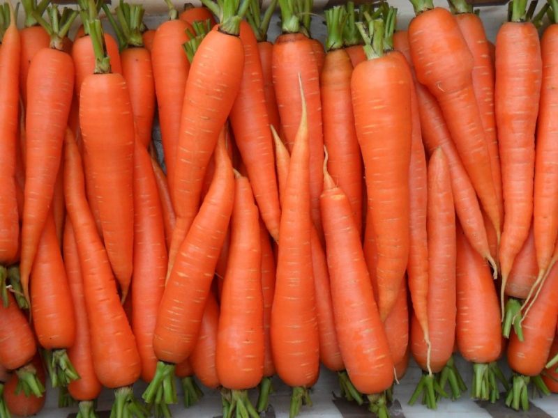 Морковные полоски с кремом